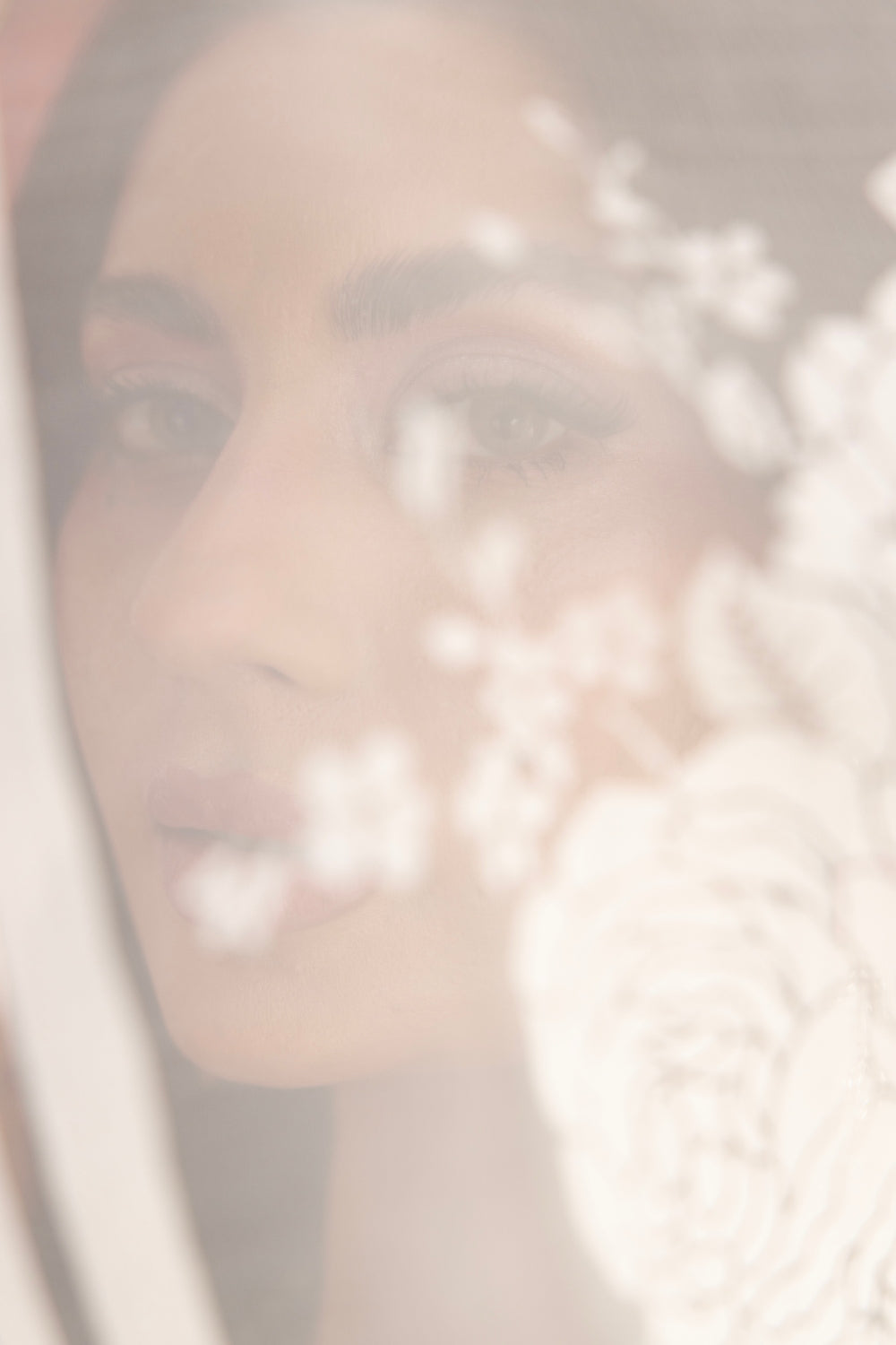 Silena